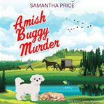 Amish buggy murder cover image