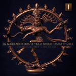 112 guided meditations of vigyan bhairav tantra by shiva cover image