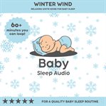Winter Wind : Cozy White Noise for Baby's Dreamland cover image