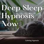 Deep Sleep Hypnosis Now cover image