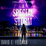 A Special Storm cover image