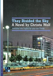 They divided the sky : a novel cover image