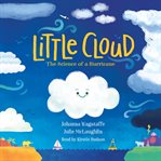 Little cloud : the science of a hurricane cover image