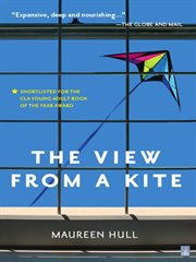 The view from a kite cover image