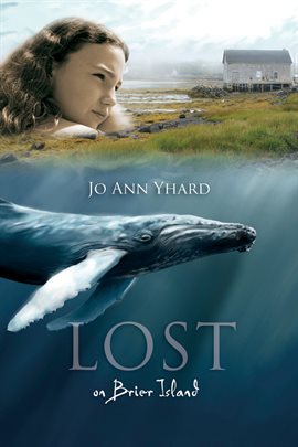 Cover image for Lost on Brier Island