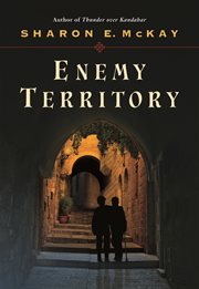 Enemy territory cover image