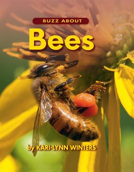 Buzz About Bees