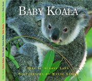 Baby koala cover image