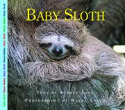 Baby sloth cover image
