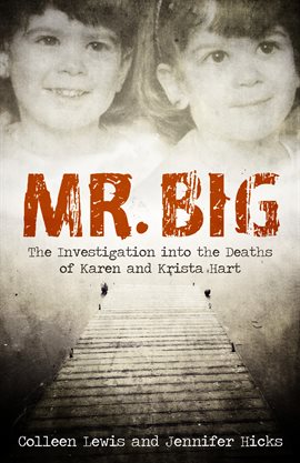 Cover image for Mr. Big