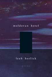 Moldovan hotel cover image