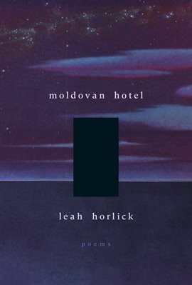 Cover image for Moldovan Hotel