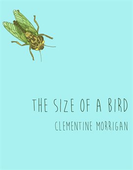 Cover image for The Size of a Bird