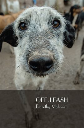 Cover image for Off-Leash