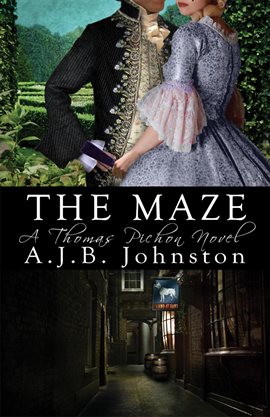Cover image for The Maze