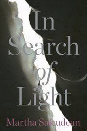 In search of light cover image