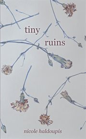 Tiny ruins cover image