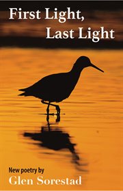First Light, Last Light cover image