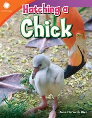 Hatching a chick cover image