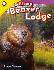 Building a beaver lodge cover image