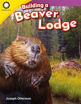 Cover image for Building a Beaver Lodge