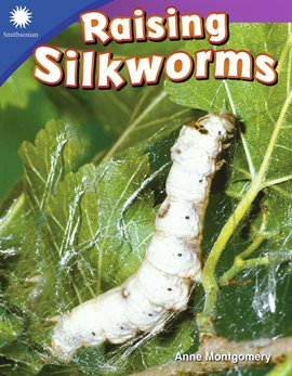 Cover image for Raising Silkworms