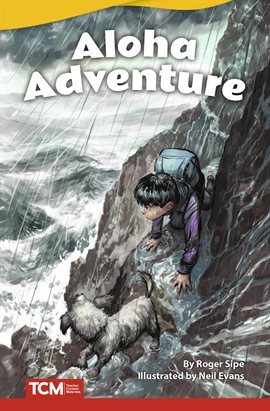 Cover image for Aloha Adventure