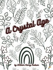 A crystal age cover image