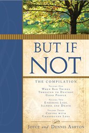 But if not: the compilation : The Compilation cover image