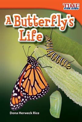Cover image for A Butterfly's Life