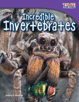 Cover image for Incredible Invertebrates