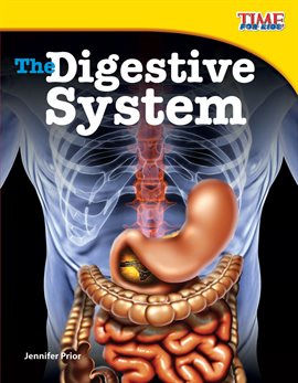 Cover image for The Digestive System