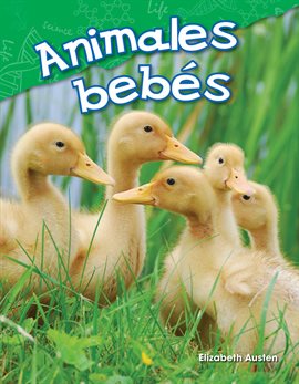Cover image for Animales bebés