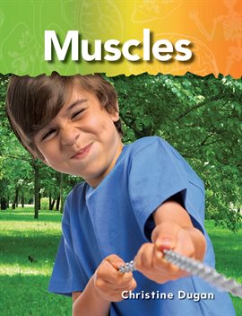 Cover image for Muscles
