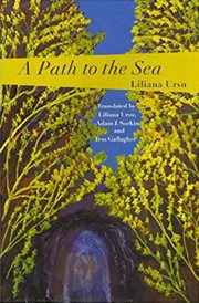 A path to the sea cover image