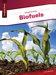 Examining biofuels cover image