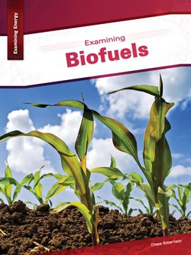 Cover image for Examining Biofuels