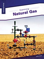 Examining natural gas cover image