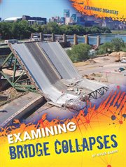 Examining bridge collapses cover image