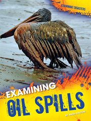 Examining oil spills cover image