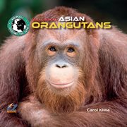 All about Asian orangutans cover image