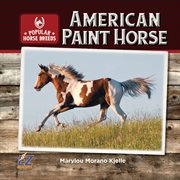 American paint horse cover image