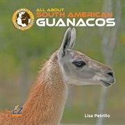 All about South American guanacos cover image