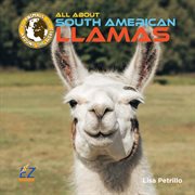 All about South American llamas cover image