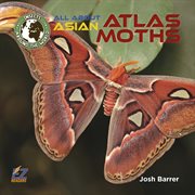 All about Asian atlas moths cover image