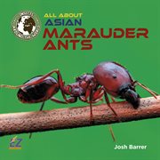 All about Asian marauder ants cover image
