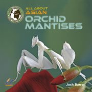 All about Asian orchid mantises cover image