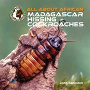 All About African Madagascar Hissing Cockroaches cover image