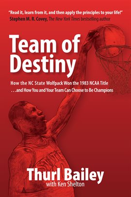 Cover image for Team of Destiny