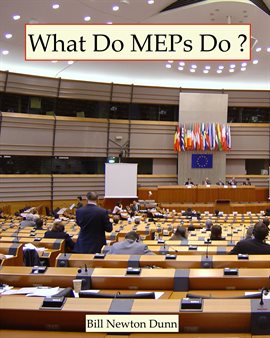 Cover image for What Do MEPs Do ?